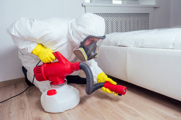 Best Fumigation Services  in Pine City, MN